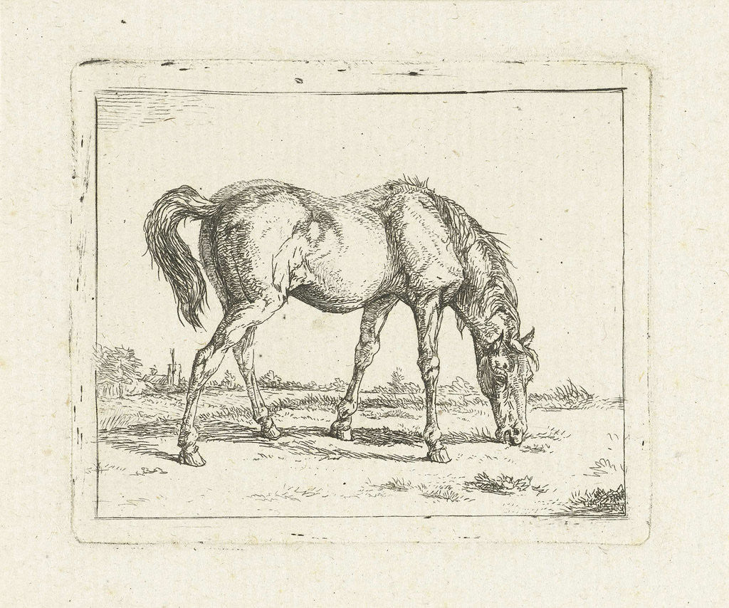 Detail of grazing horse right by Jan Dasveldt