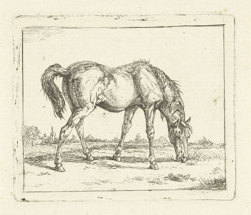 Detail of grazing horse right by Jan Dasveldt