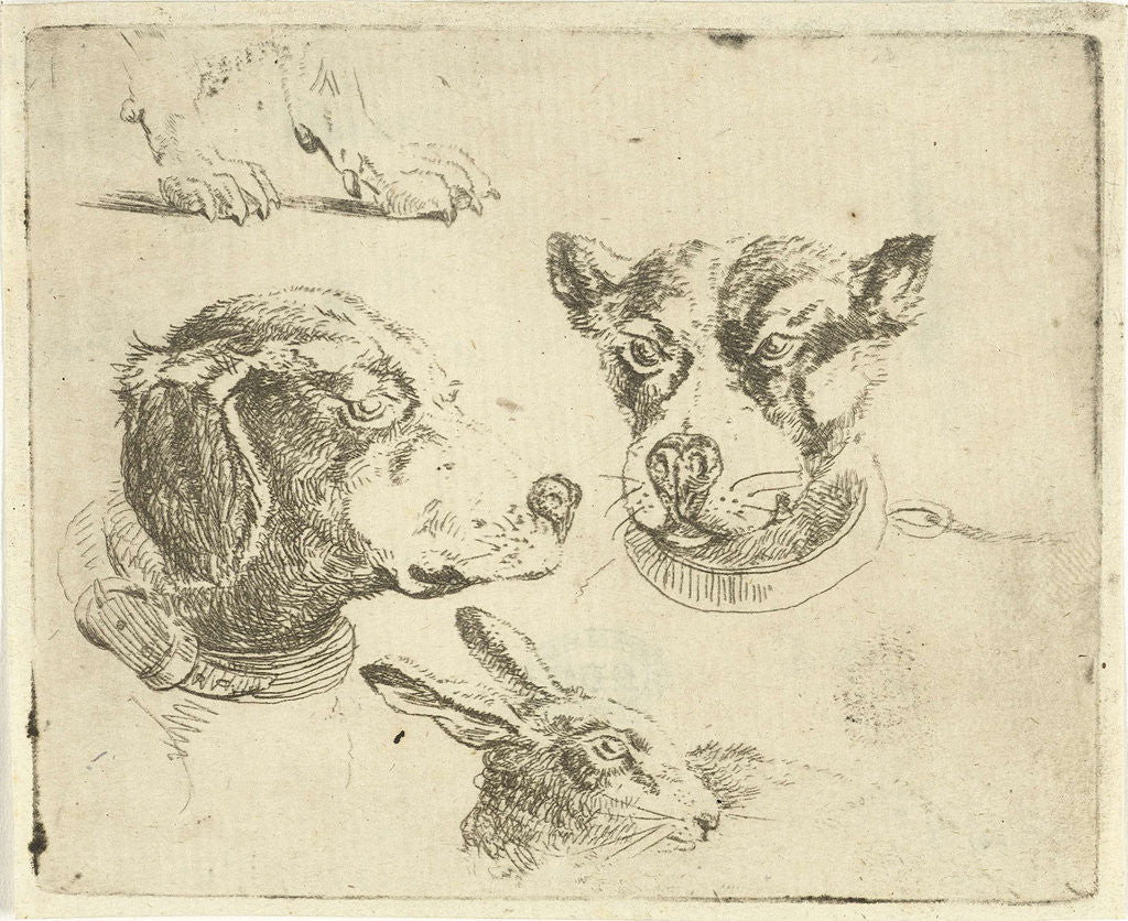 Detail of Study Sheet with two dog heads, paws dog and head of hare by Jan Dasveldt