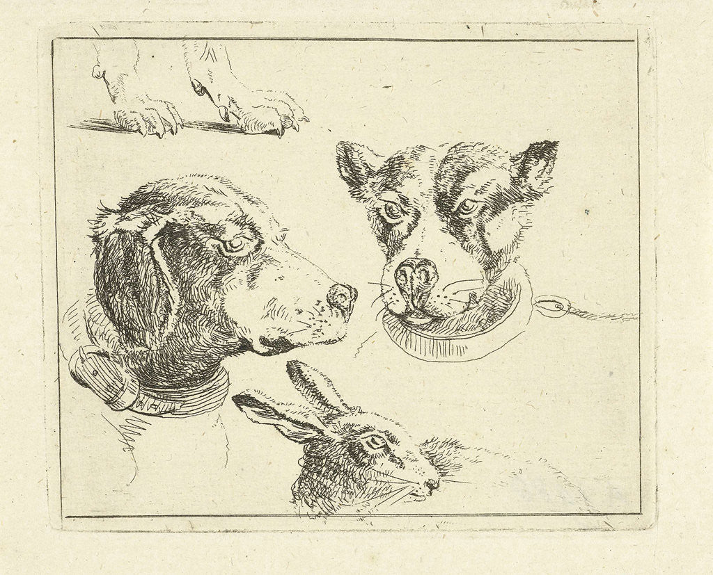 Detail of Study Sheet with two dog heads, paws dog and head of hare by Jan Dasveldt
