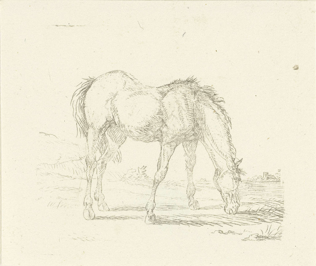 Detail of grazing horse right by Jan Dasveldt
