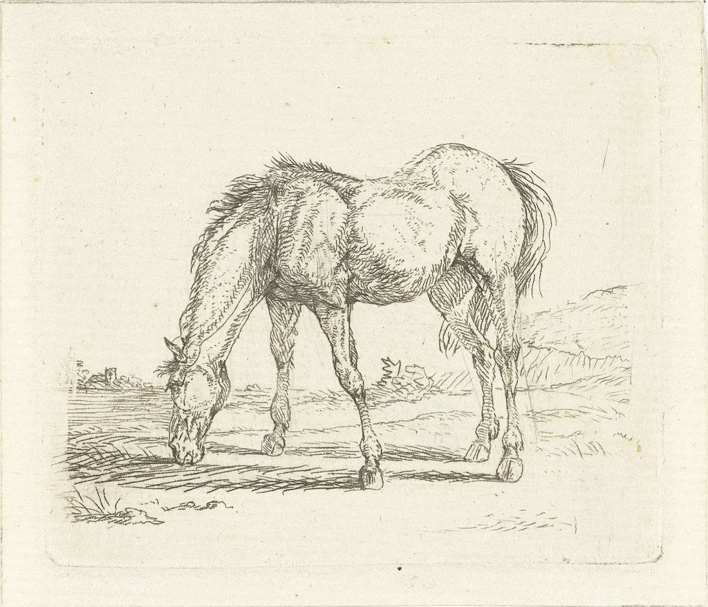 Detail of grazing horse left by Jan Dasveldt