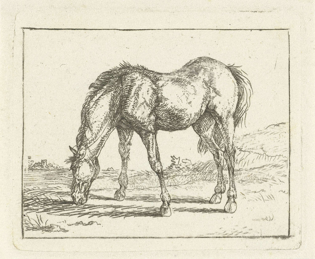 Detail of Grazing horse by Jan Dasveldt