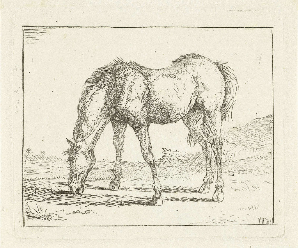 Detail of grazing horse left by Jan Dasveldt