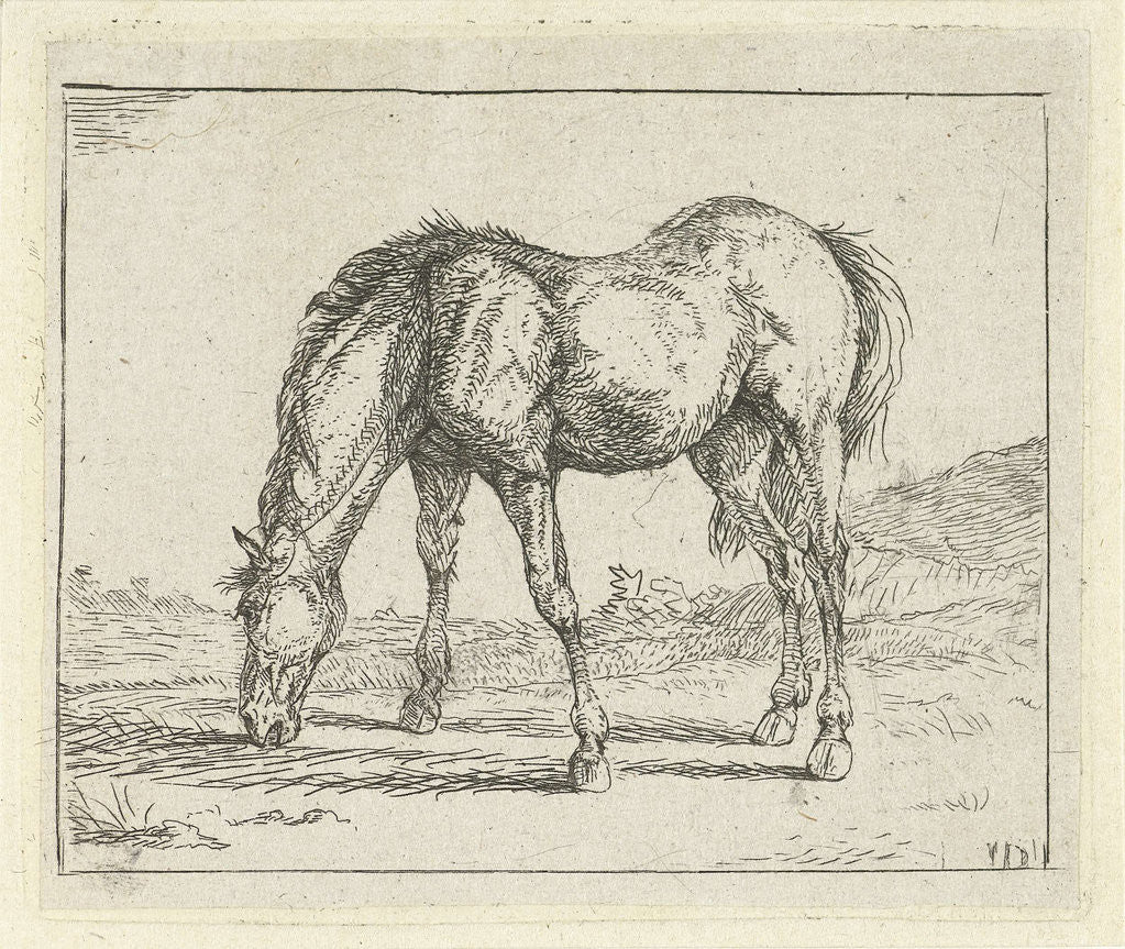 Detail of grazing horse left by Jan Dasveldt