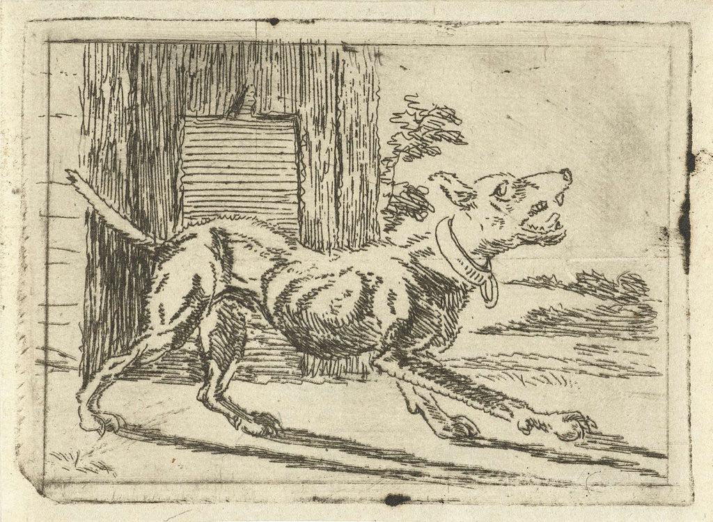 Detail of Barking dog in cage by Jan Dasveldt