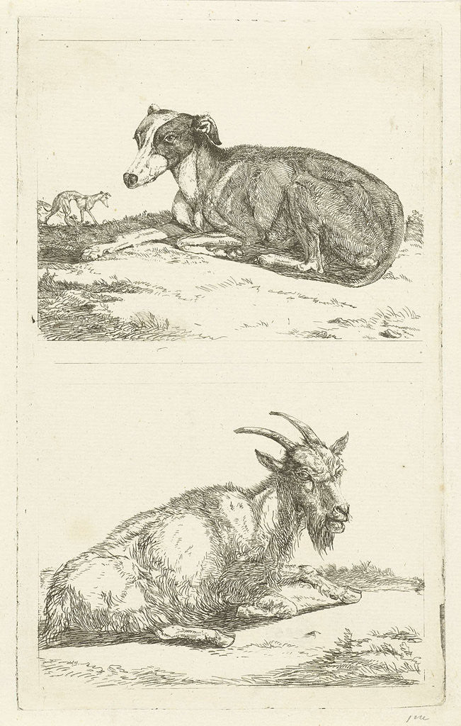 Detail of Greyhounds and goat by Jan Dasveldt