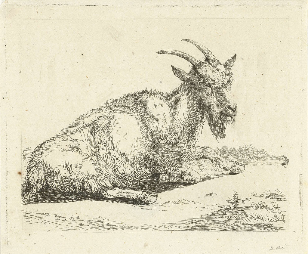 Detail of Goat by Jan Dasveldt
