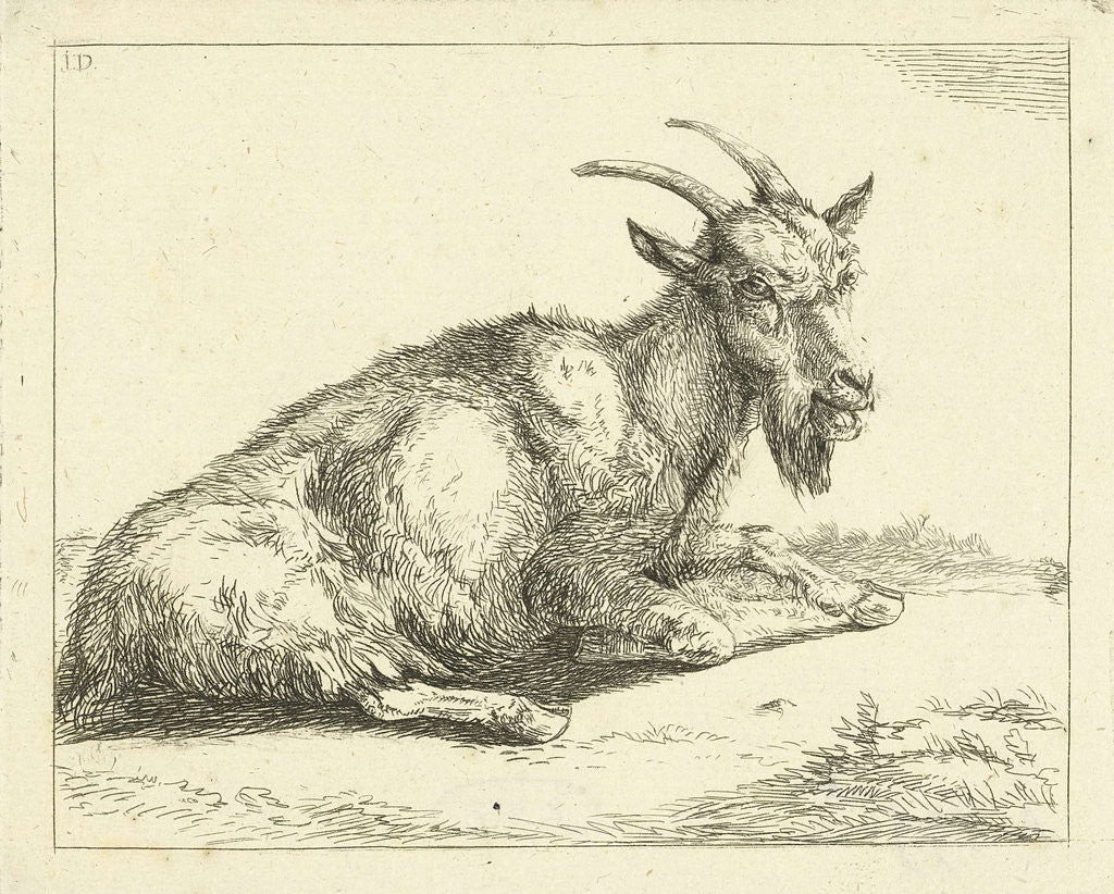 Detail of Goat by Jan Dasveldt