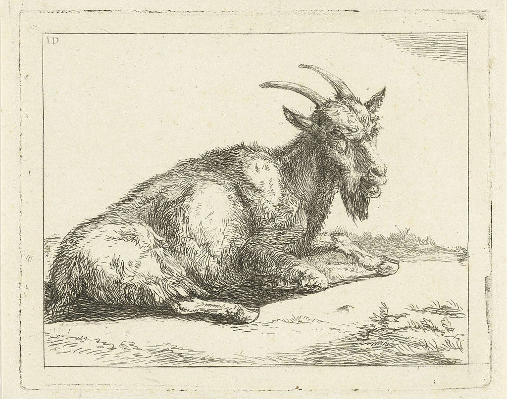 Detail of Goat by Jan Dasveldt