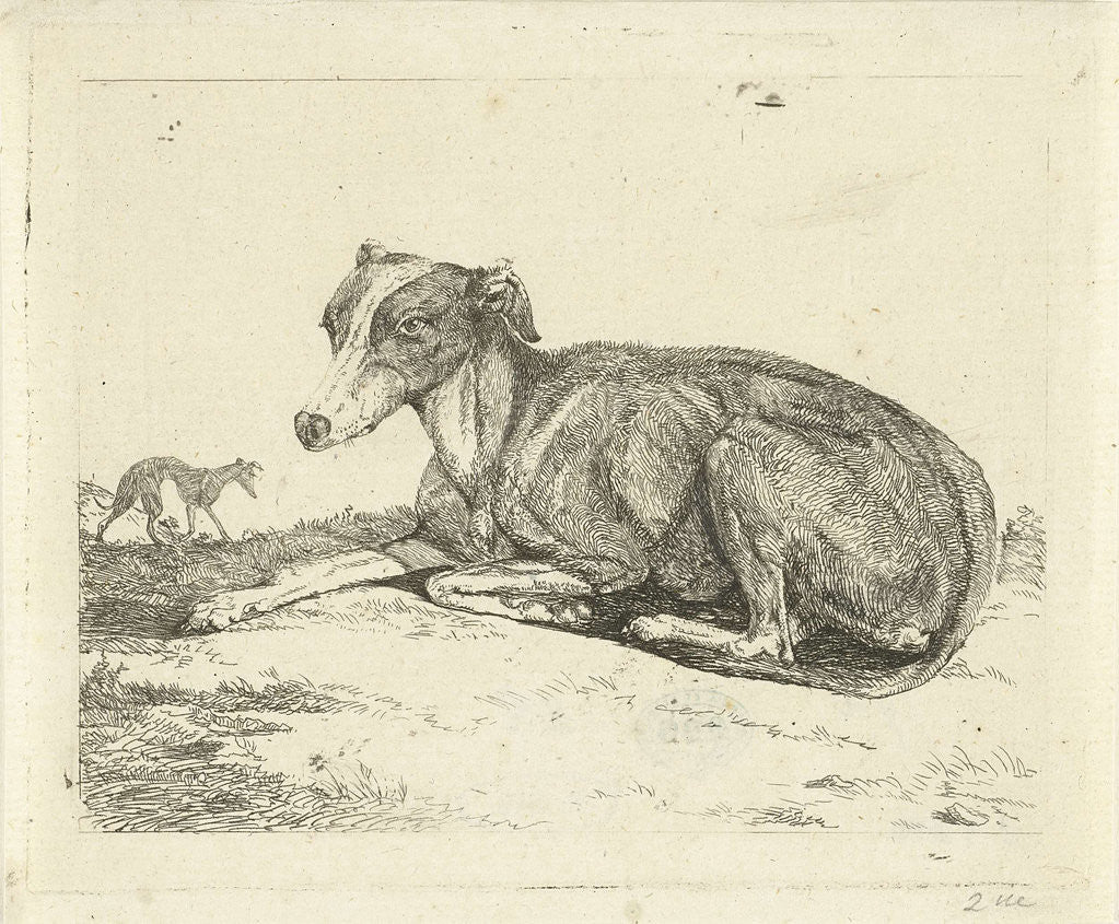 Detail of Greyhounds by Jan Dasveldt
