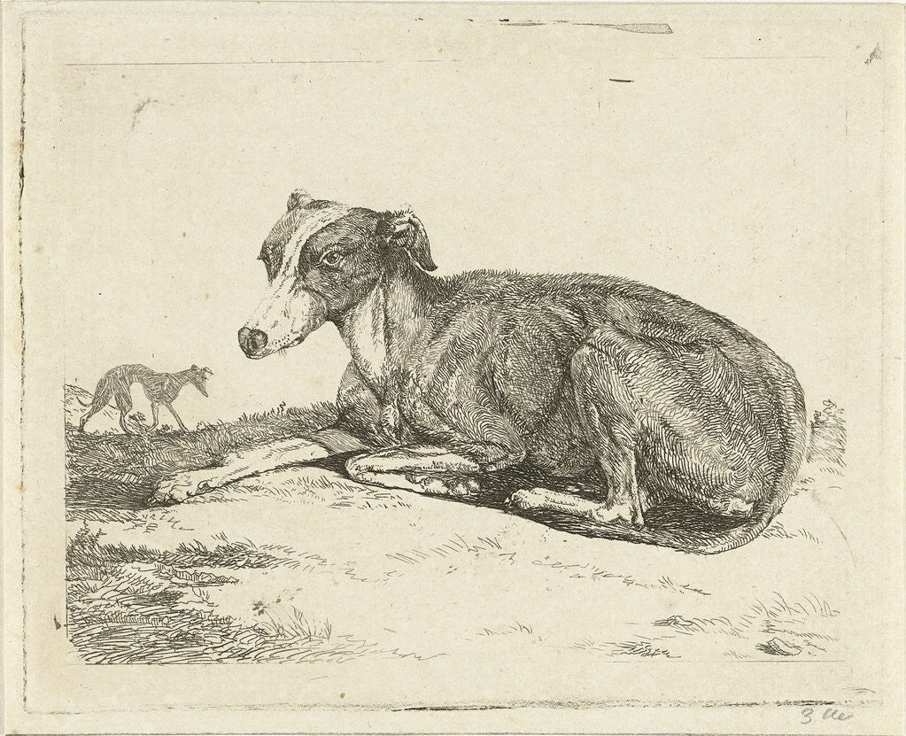 Detail of Greyhounds by Jan Dasveldt