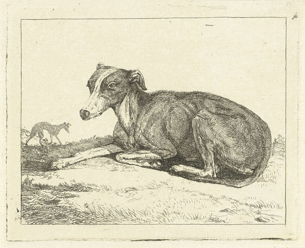 Detail of Greyhounds by Jan Dasveldt
