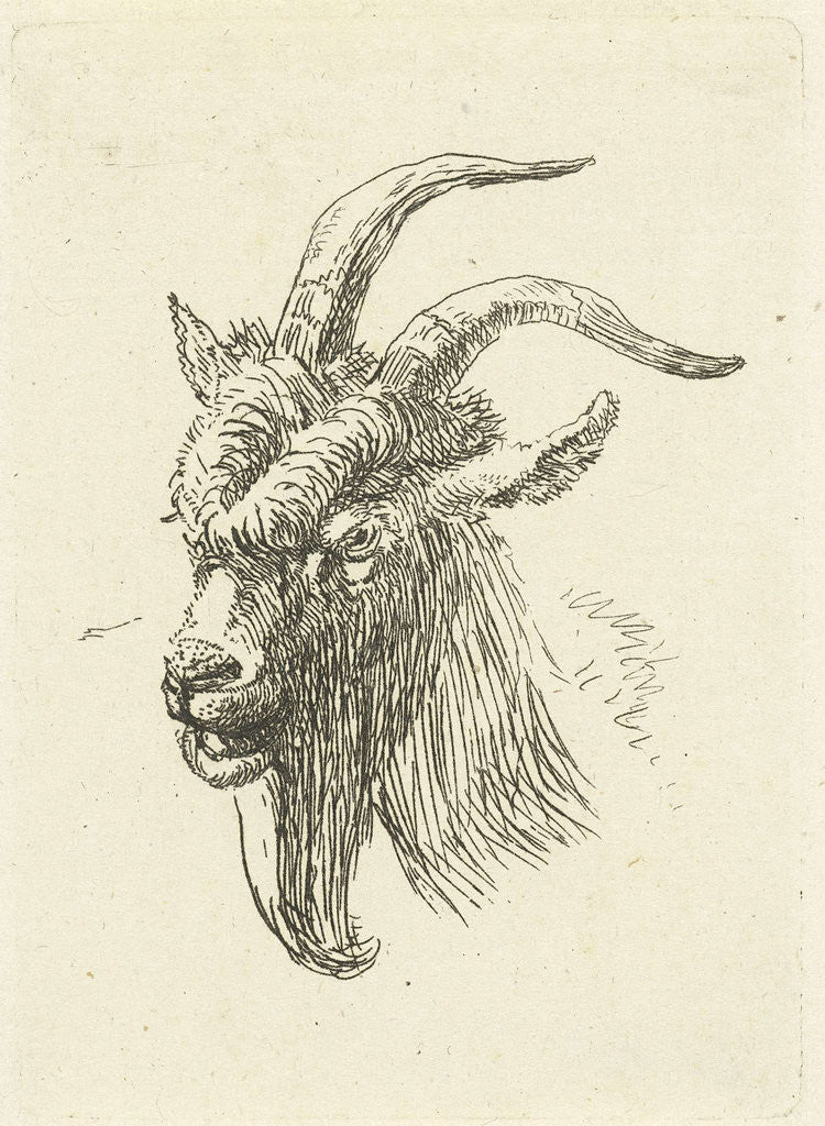 Detail of Cup buck by Jan Dasveldt