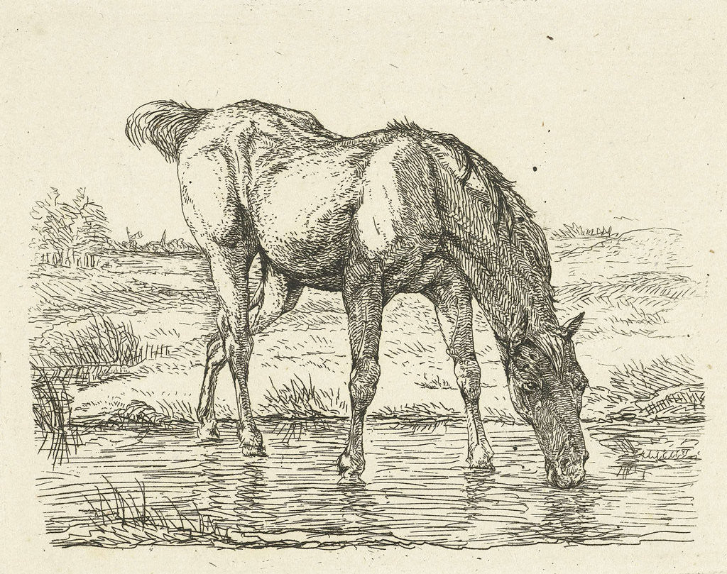 Detail of Drinking horse by Jan Dasveldt