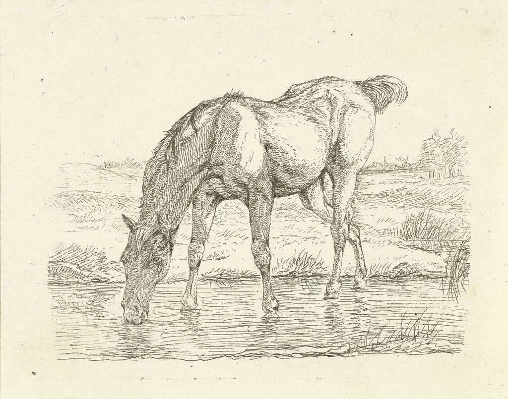 Detail of Drinking horse by Jan Dasveldt