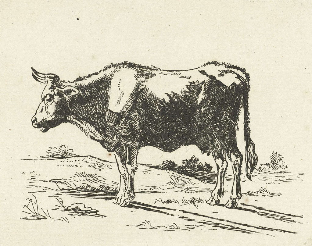 Detail of Standing cow by Jan Dasveldt