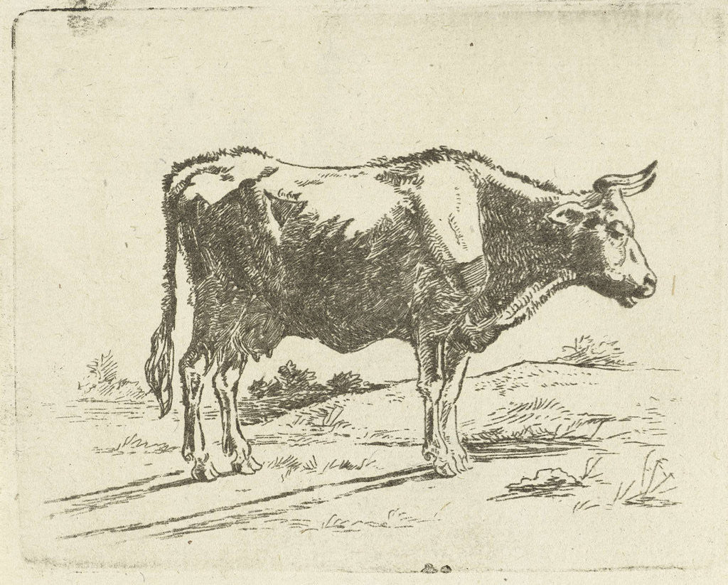 Detail of Standing cow by Jan Dasveldt