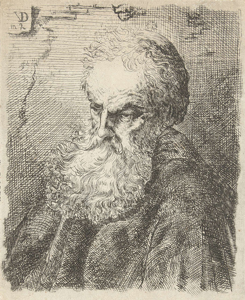 Detail of Bust of an old man with beard by Salomon Savery