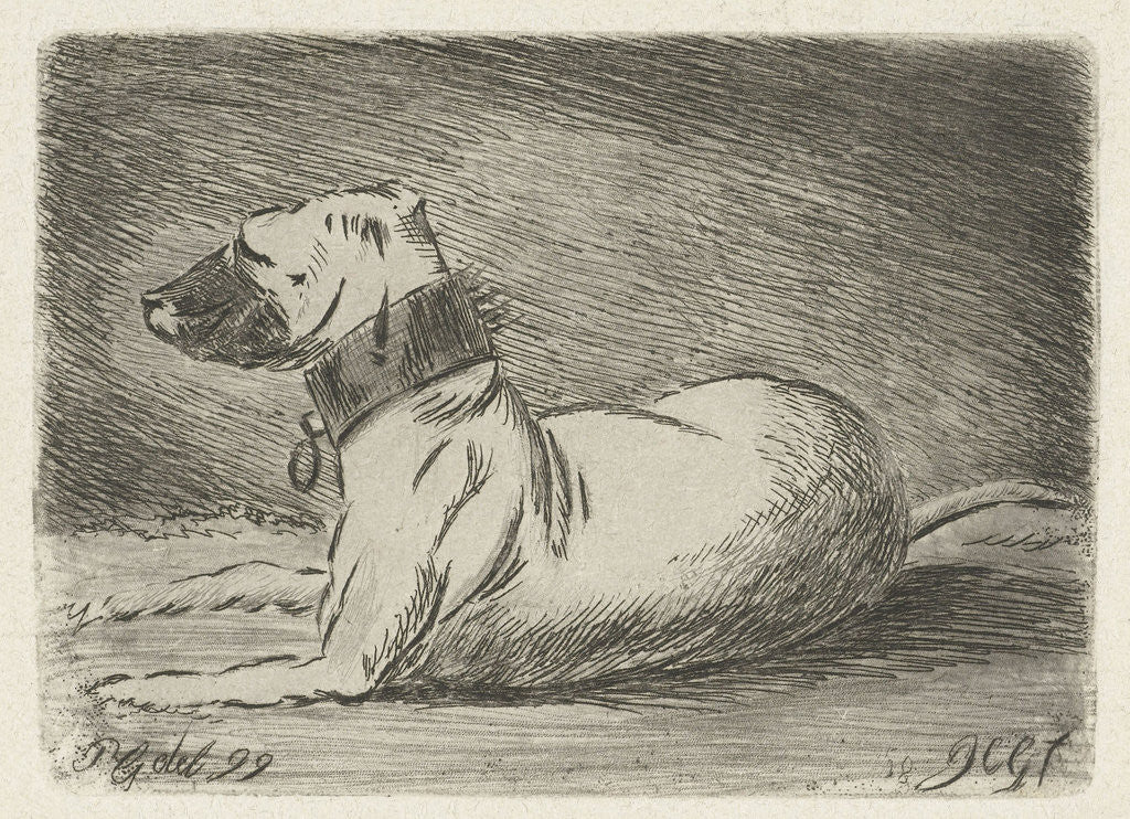 Detail of Lying dog with collar by Jacobus Cornelis Gaal