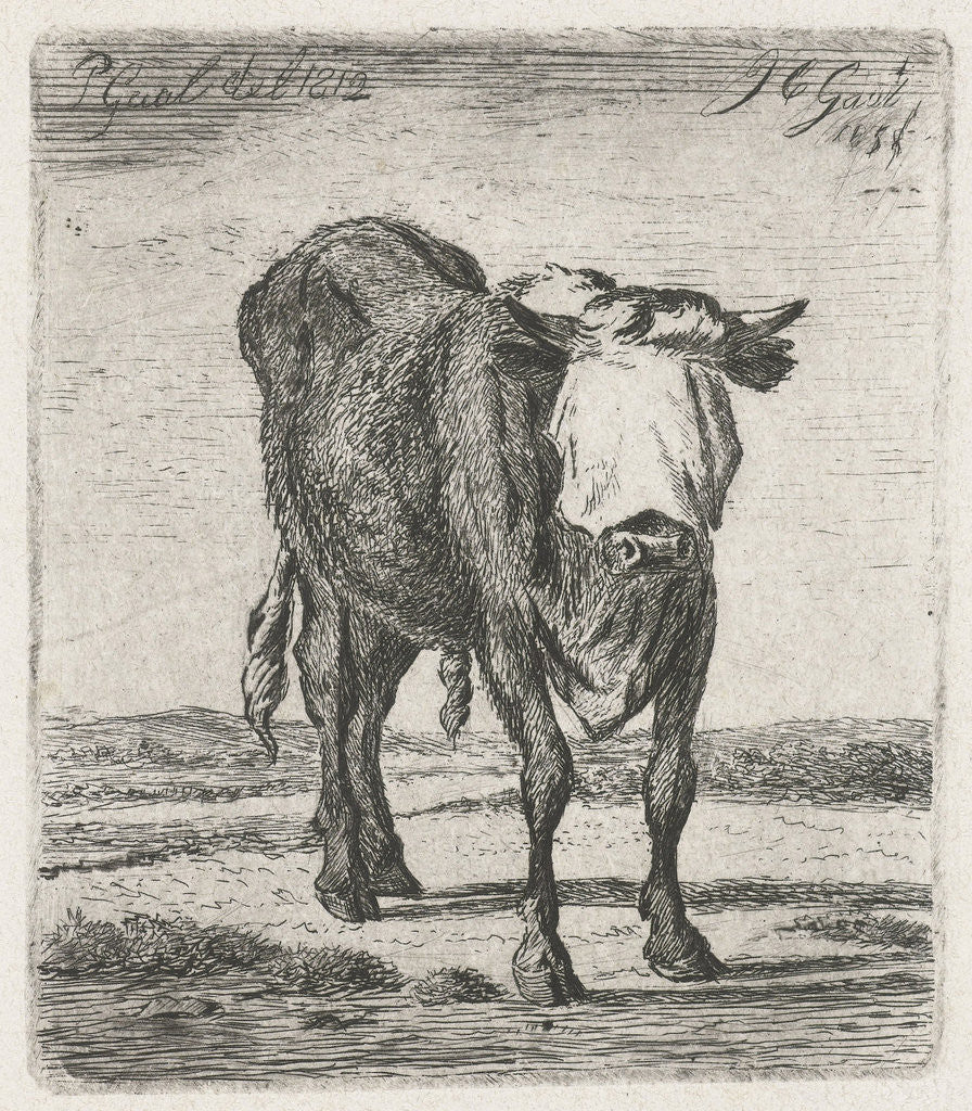 Detail of Blindfolded bull by Jacobus Cornelis Gaal