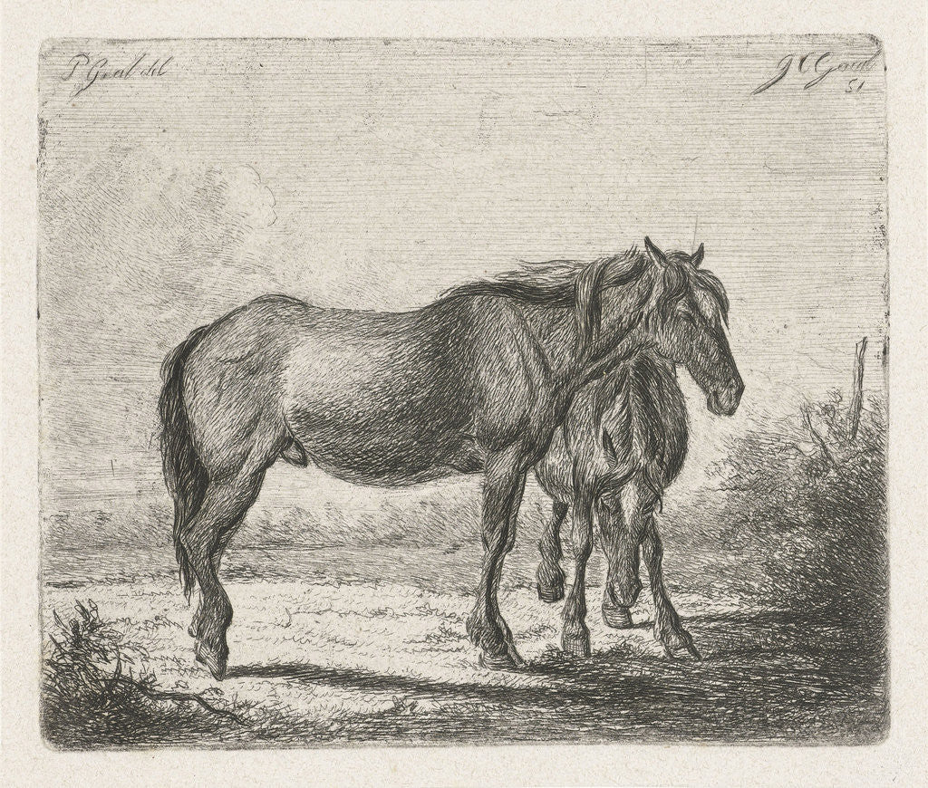 Detail of Two horses by Jacobus Cornelis Gaal