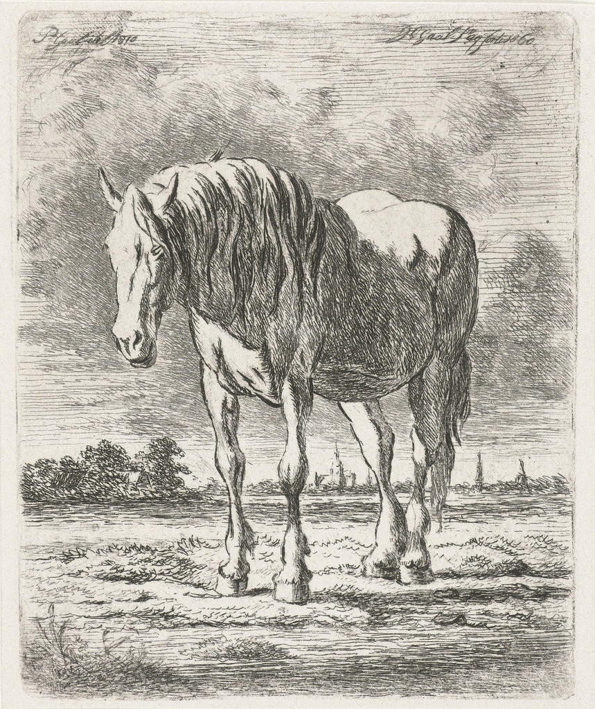 Detail of Single white horse by Jacobus Cornelis Gaal
