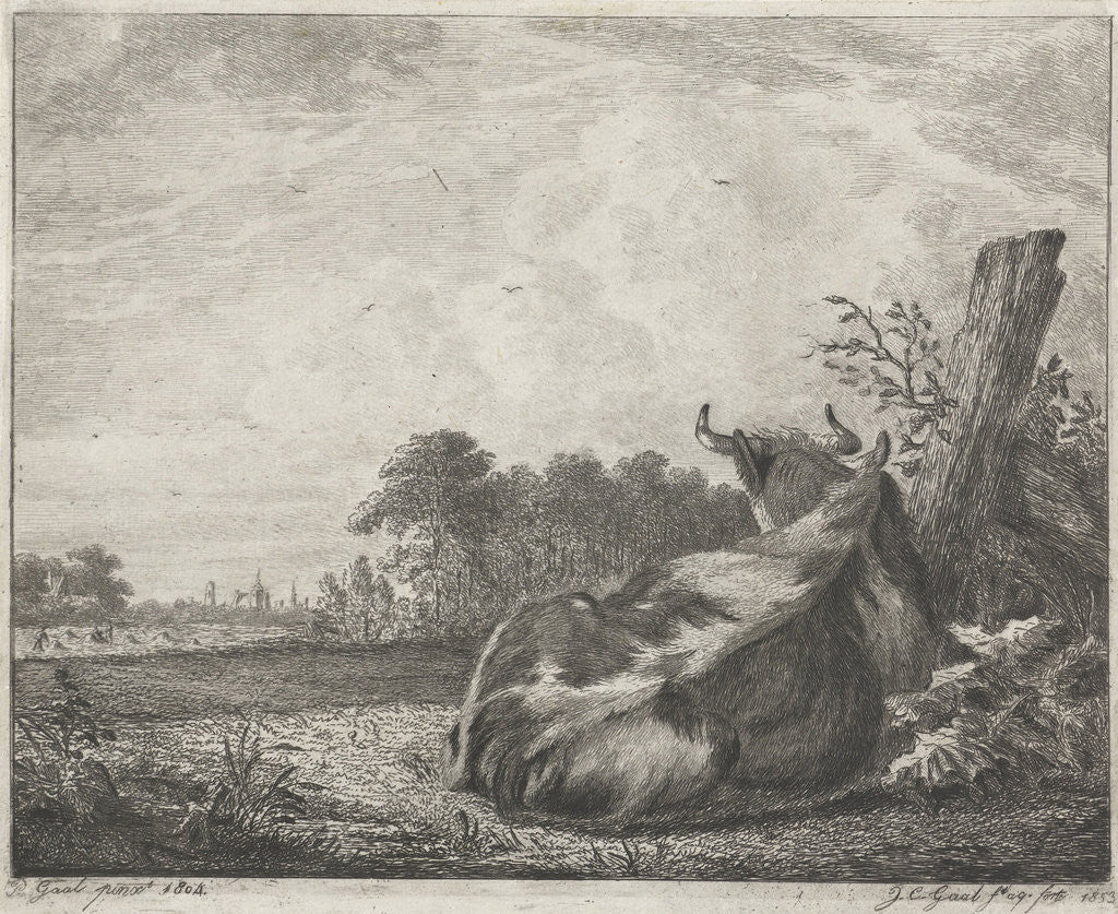 Detail of Spotted cow lying on a wooden post by Jacobus Cornelis Gaal