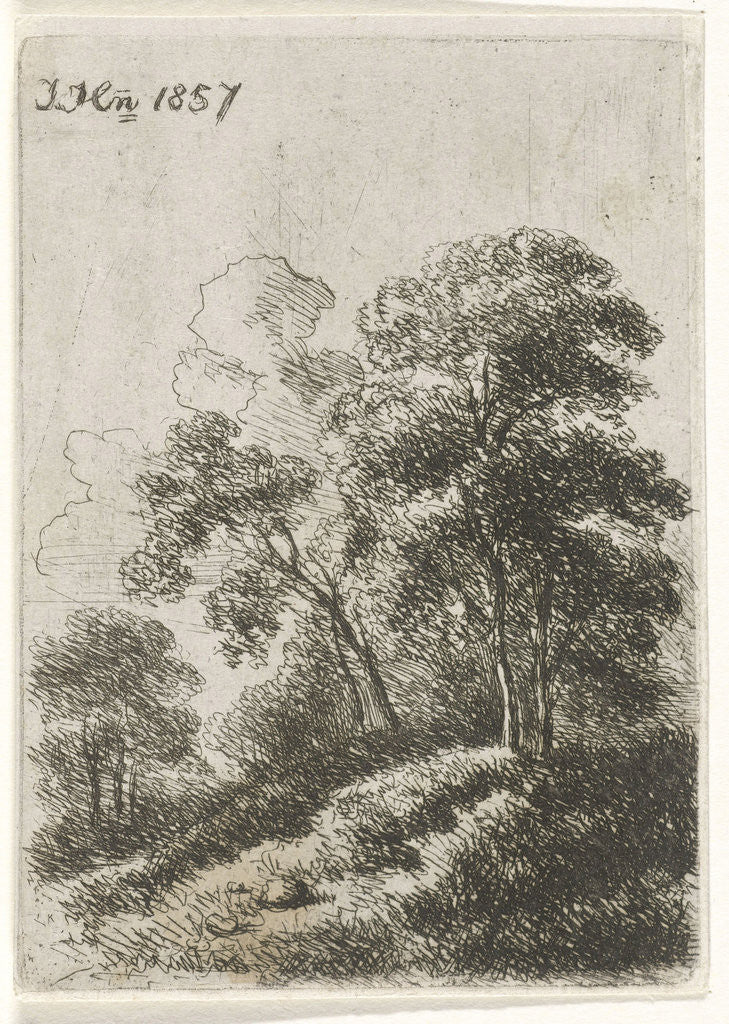 Detail of Trees on a hill by Hendrik Jan Hein