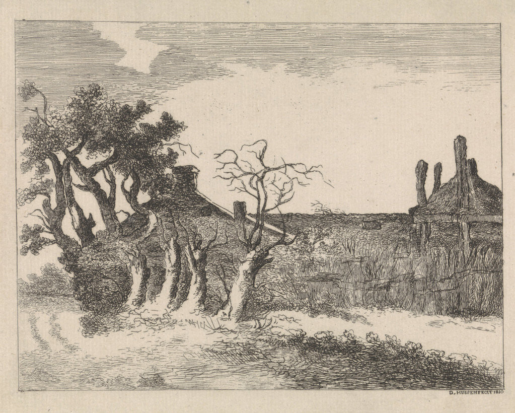 Detail of Willows at farm by Dirk Hussem