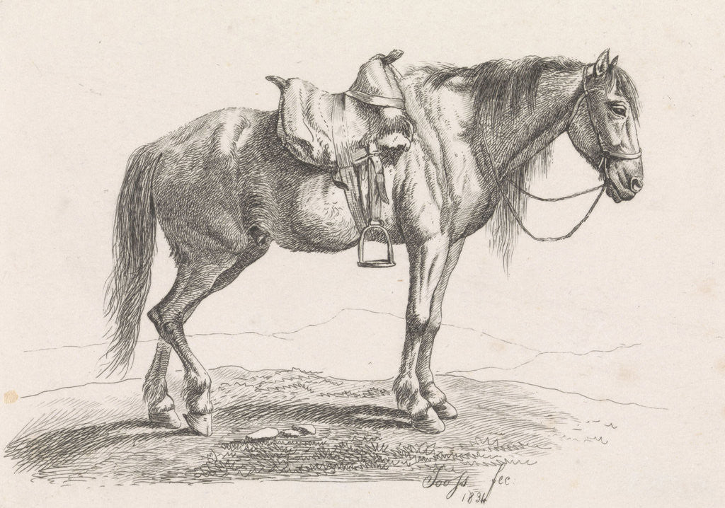 Detail of Saddled horse by George Jooss
