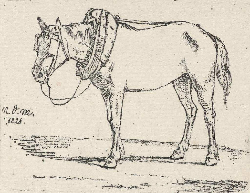 Detail of Refitted horse by Anthonie Willem Hendrik Nolthenius de Man