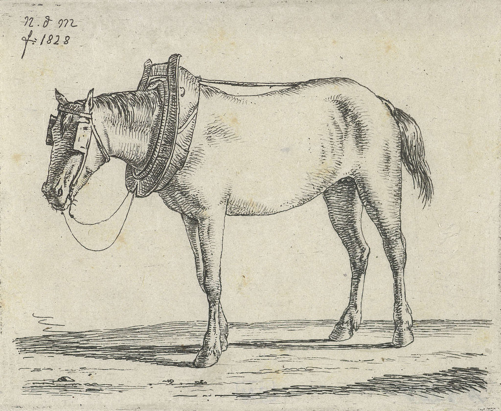 Detail of Draft Horse by Anthonie Willem Hendrik Nolthenius de Man