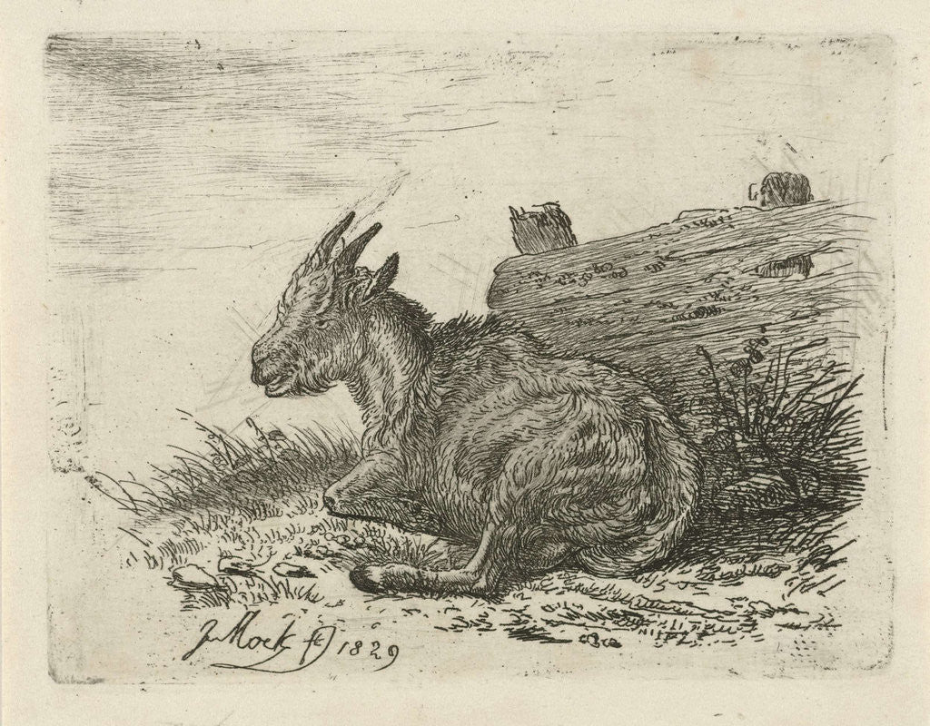 Detail of Lying kid at a fence by Johannes Mock