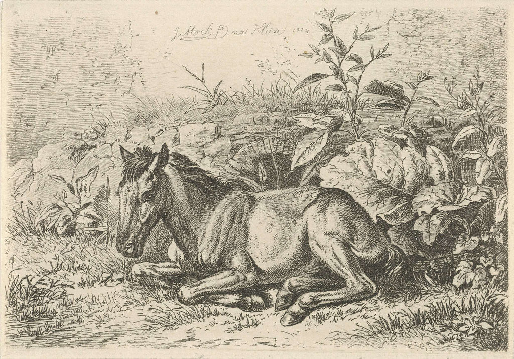 Detail of Lying horse for some plants by Johannes Mock
