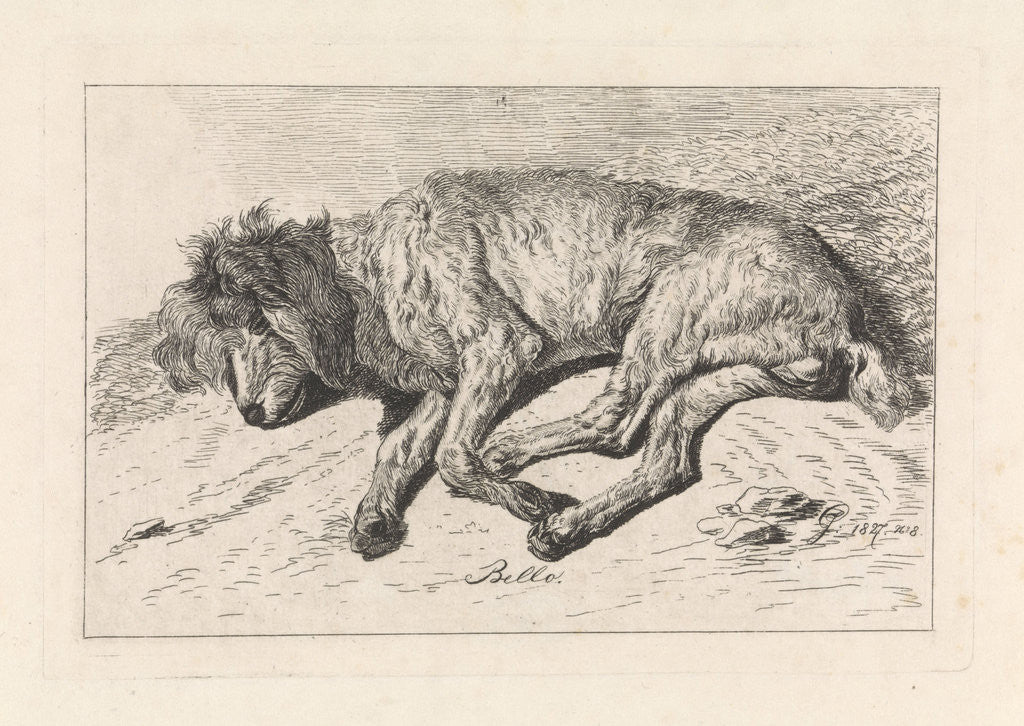 Detail of Sleeping dog, George Jooss by Johannes Mock