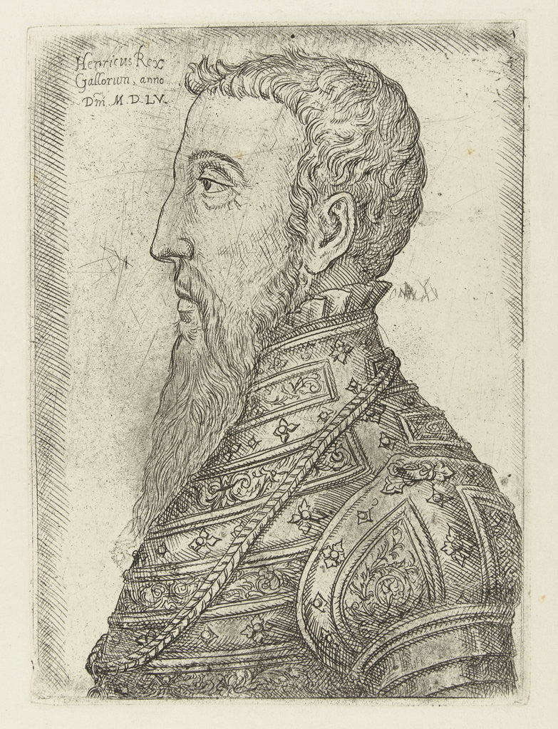 Portrait of Henry II by Jan Cornelisz Vermeyen