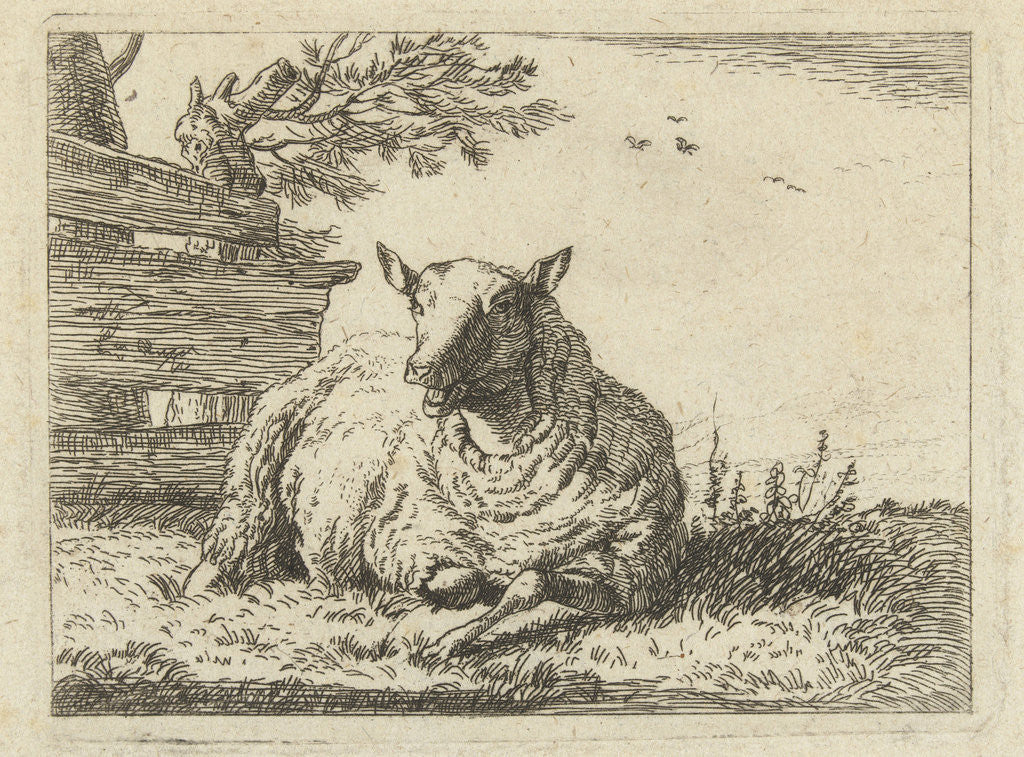 Detail of Sheep on a fence by Anonymous