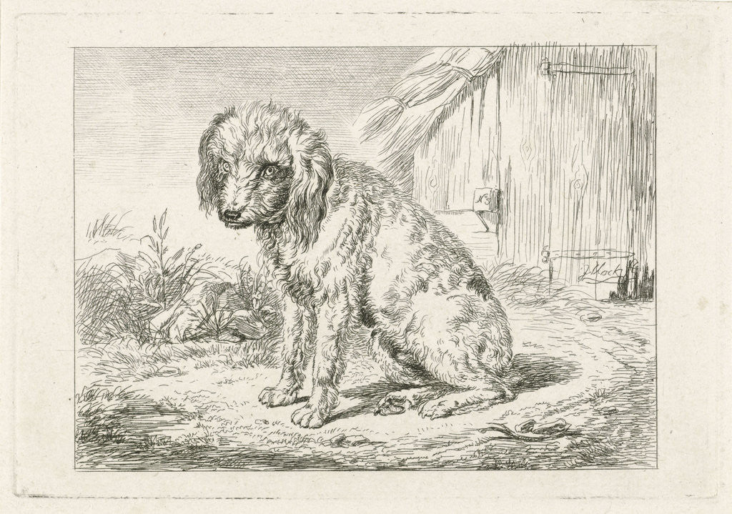 Detail of Sitting dog in a barn by Johannes Mock