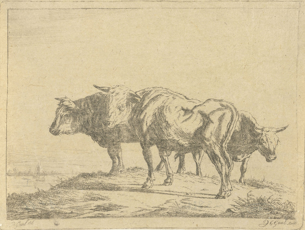 Detail of Three oxen by Jacobus Cornelis Gaal