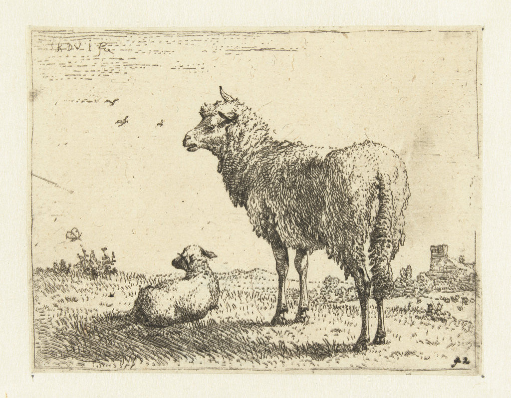 Detail of Ewe with lamb by Karel Dujardin