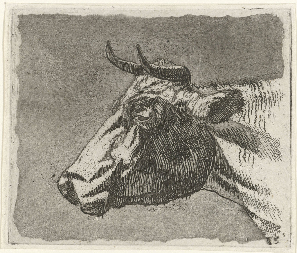 Detail of Cow by Johannes Janson