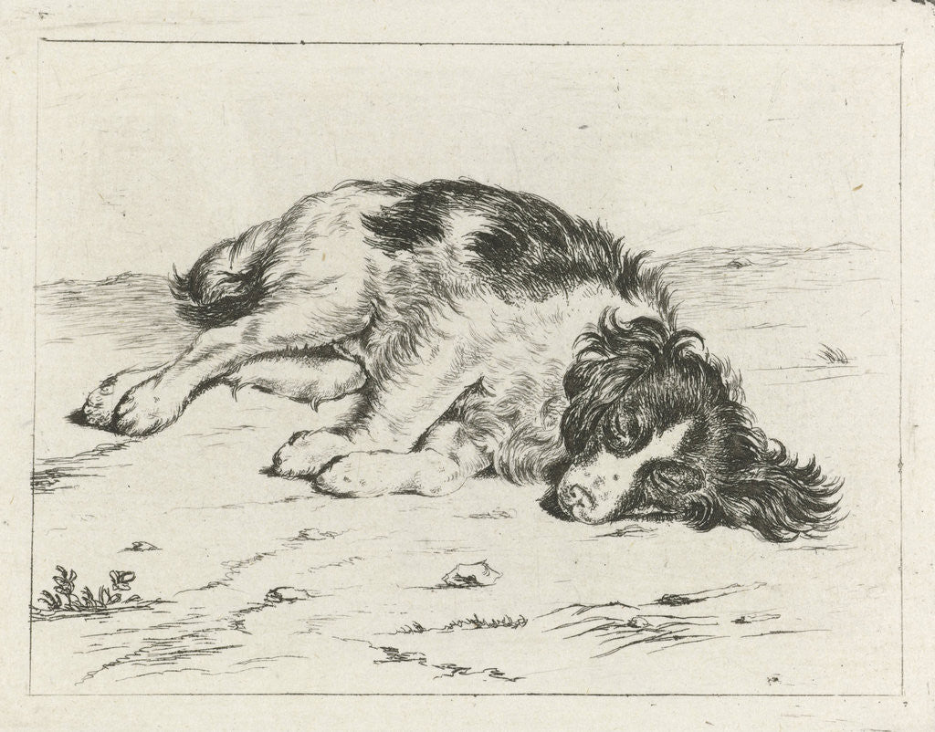 Detail of Sleeping dog by Hendrik Godart de Marée