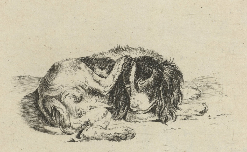 Detail of Lying dog by Hendrik Godart de Marée