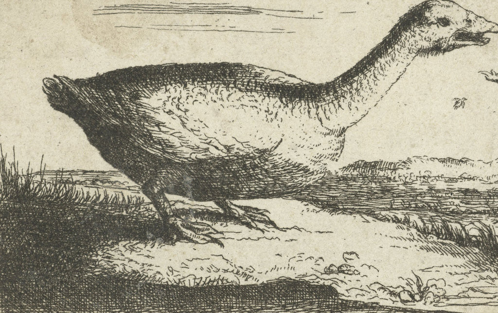 Detail of Landscape with wild goose by Landscape with wild goose