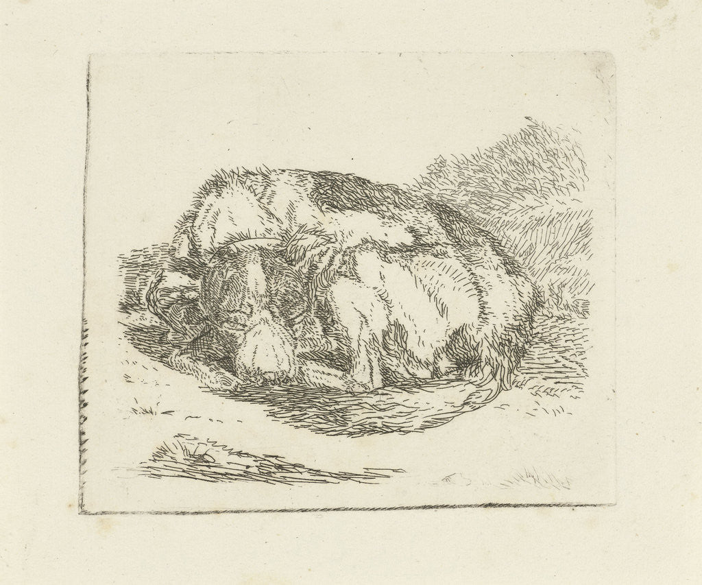 Detail of Sleeping dog by Jan Dasveldt