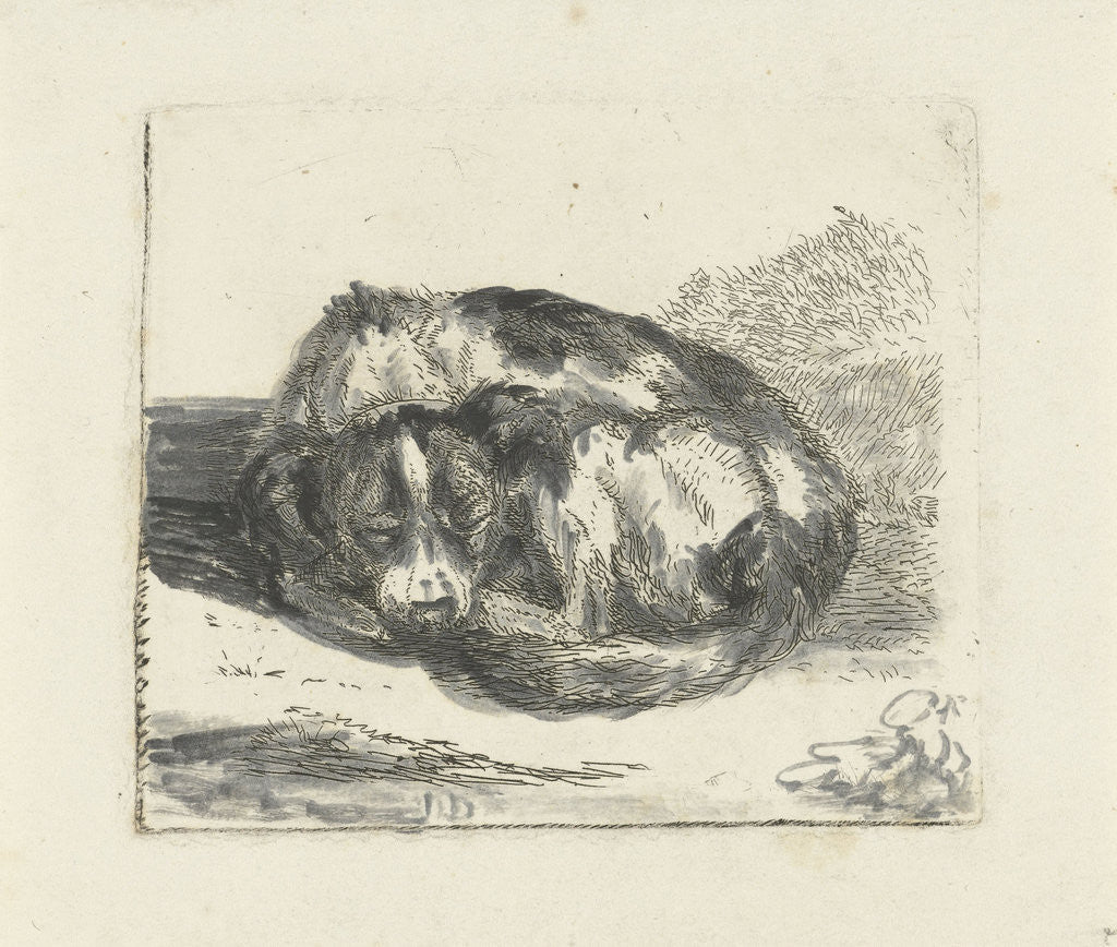 Detail of Sleeping dog by Jan Dasveldt