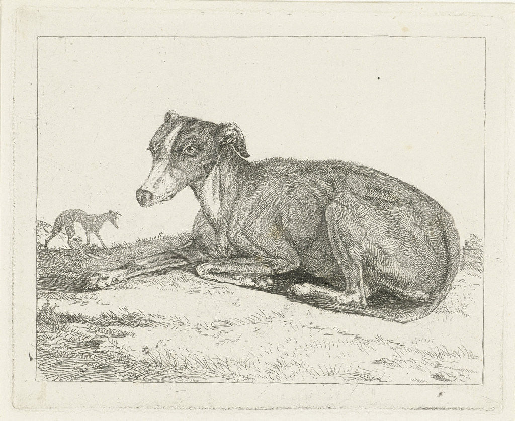 Detail of Greyhounds by Jan Dasveldt
