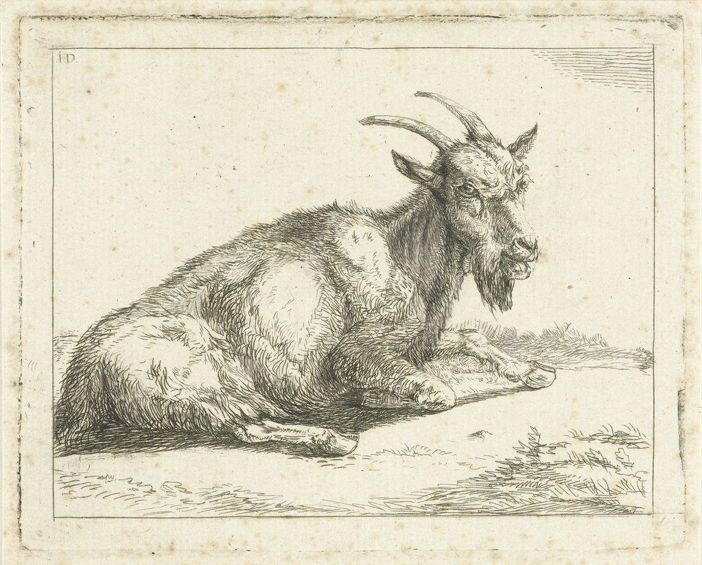 Detail of Goat by Jan Dasveldt