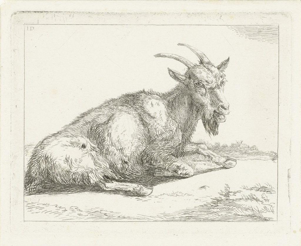 Detail of Goat by Jan Dasveldt